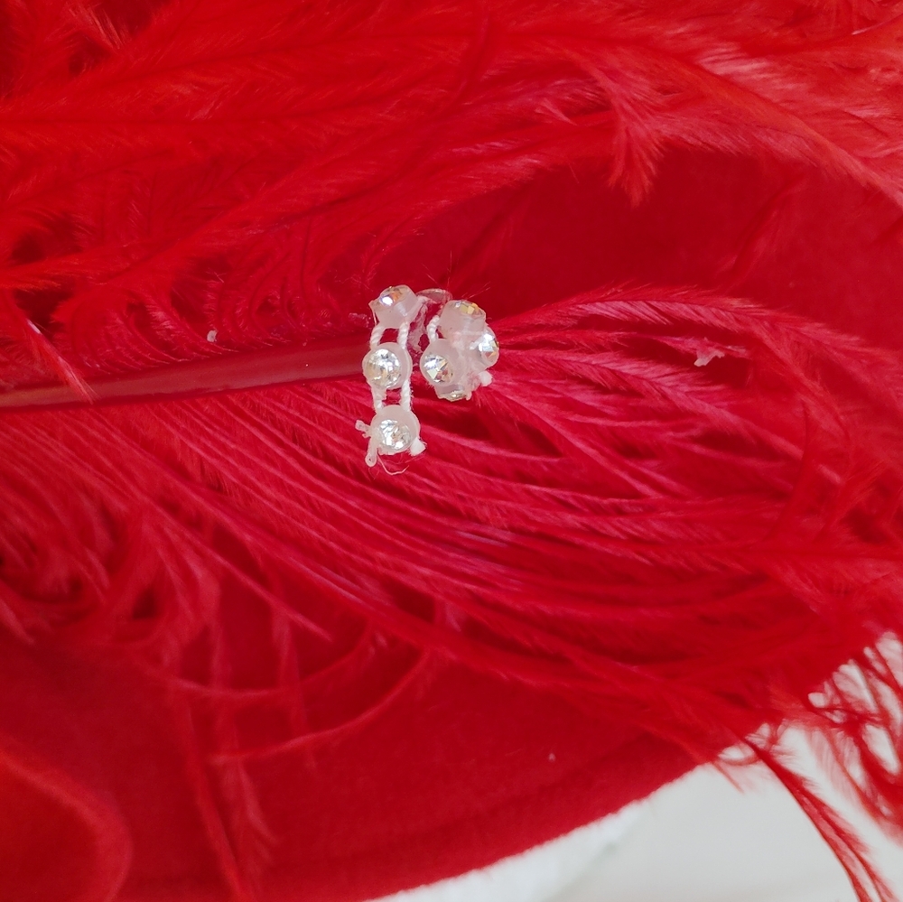 Elegant Red Wide-Brim Felt Hat with Feather Accent - Picture 5 of 12
